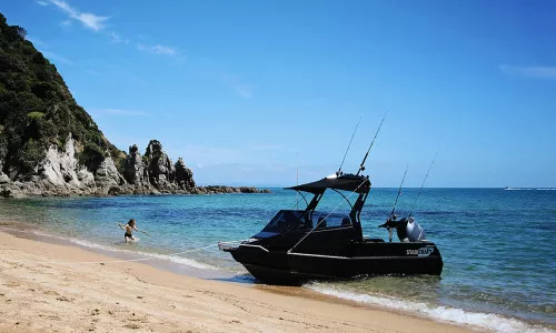1550FISHER 22