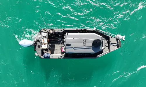 DJI 0174