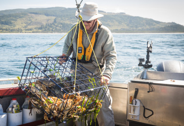 crab fishing stabicraft us boat